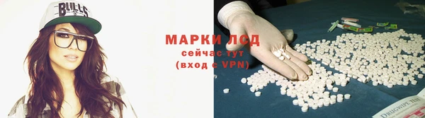 твердый Надым