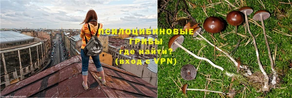 твердый Надым