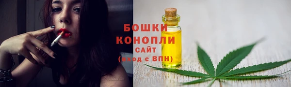 ПСИЛОЦИБИНОВЫЕ ГРИБЫ Верея