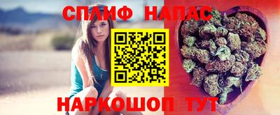 СК Будённовск