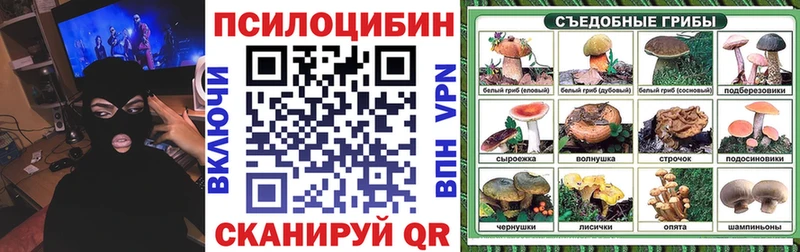 нарко площадка формула  Кимры  Псилоцибиновые грибы Psilocybine cubensis  где продают наркотики 