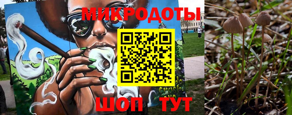 Галлюциногенные грибы Psilocybine cubensis  Вход с VPN  Кимры 