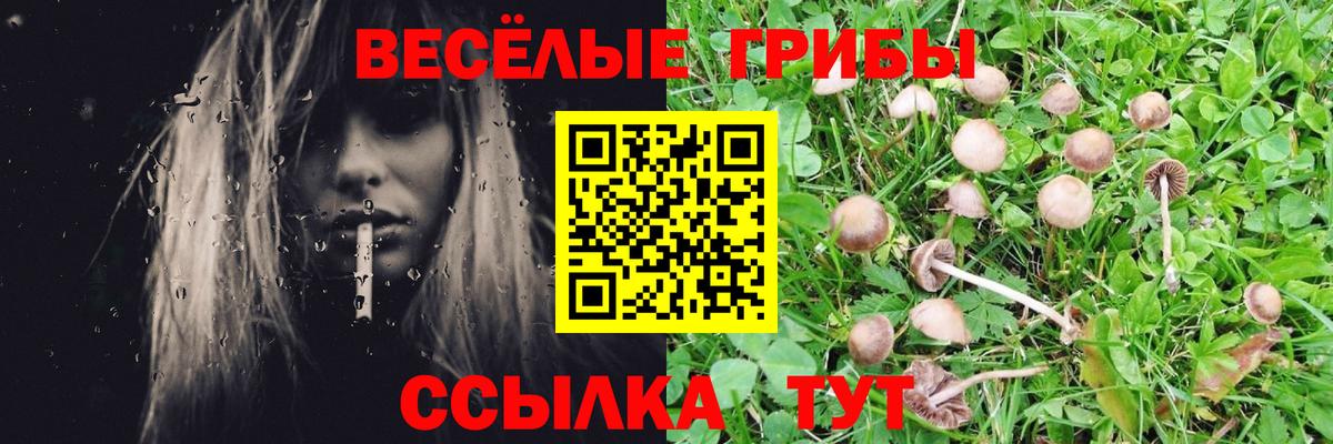 Псилоцибиновые грибы мицелий Кимры